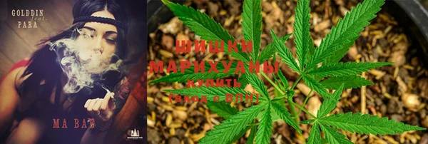 амф Заволжье