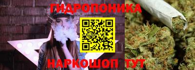 MDMA Premium VHQ Камышлов